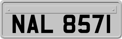 NAL8571