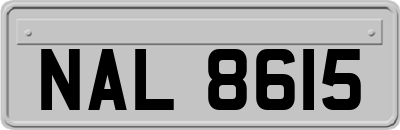 NAL8615