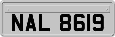 NAL8619