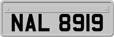 NAL8919