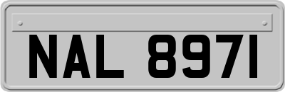 NAL8971