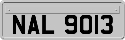 NAL9013