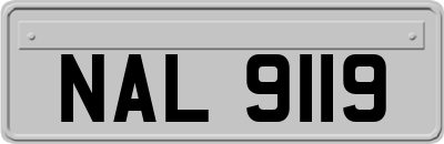 NAL9119