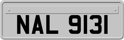 NAL9131