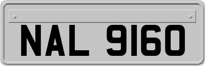 NAL9160