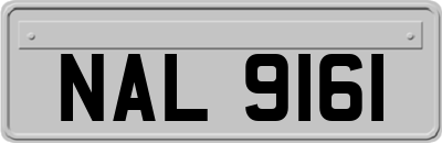 NAL9161