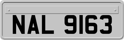 NAL9163