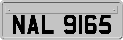 NAL9165