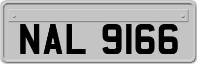 NAL9166