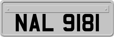 NAL9181