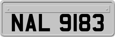 NAL9183