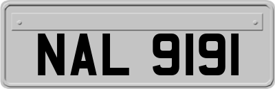 NAL9191