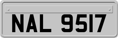 NAL9517