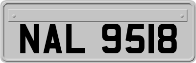 NAL9518