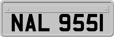 NAL9551