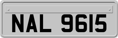 NAL9615