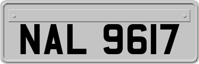 NAL9617