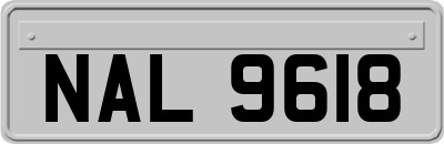 NAL9618