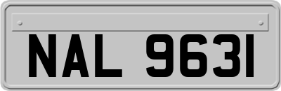 NAL9631