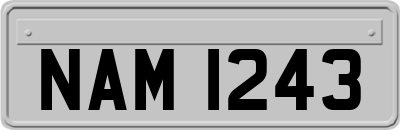 NAM1243