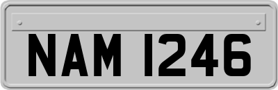 NAM1246