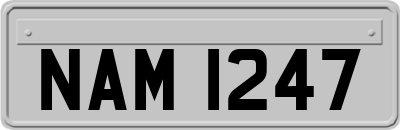 NAM1247