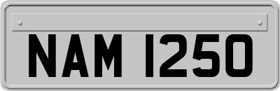 NAM1250