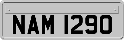 NAM1290