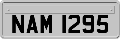 NAM1295