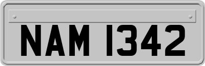 NAM1342