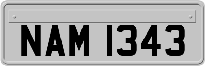 NAM1343