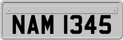 NAM1345