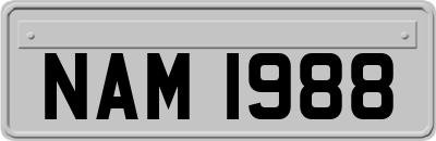 NAM1988