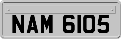 NAM6105