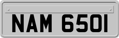 NAM6501