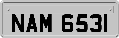 NAM6531