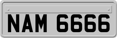 NAM6666