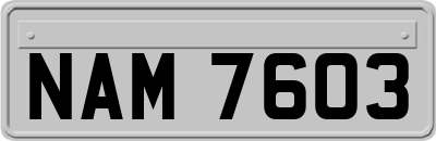 NAM7603