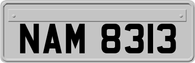 NAM8313