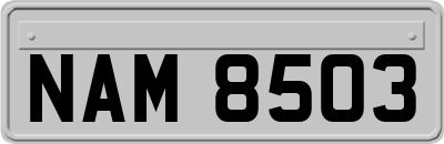 NAM8503