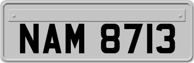 NAM8713