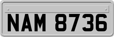 NAM8736