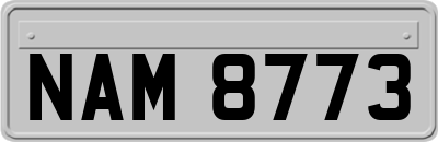 NAM8773