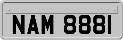 NAM8881