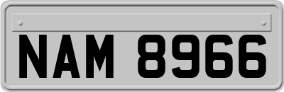 NAM8966