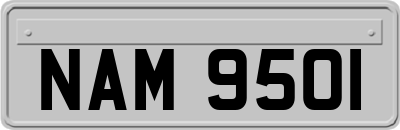 NAM9501