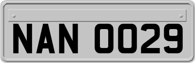 NAN0029