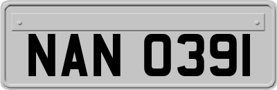 NAN0391