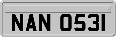 NAN0531