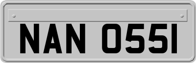 NAN0551